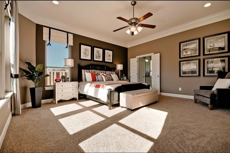 Mid-sized modern master bedroom in Other with brown walls and carpet.