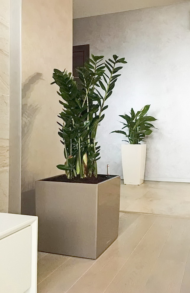 Озеленение частных квартир