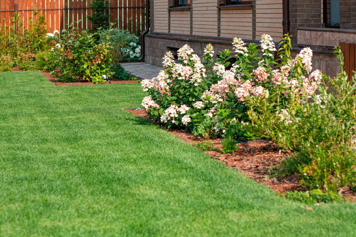 Сад Лабиринт