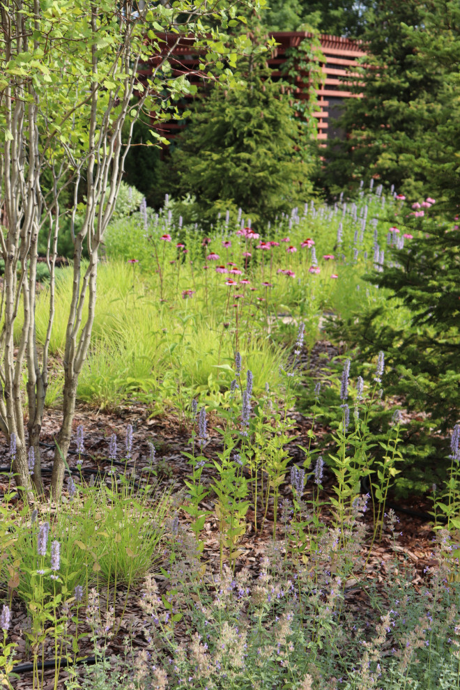 WB Парковая часть