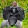 nicolas_casale