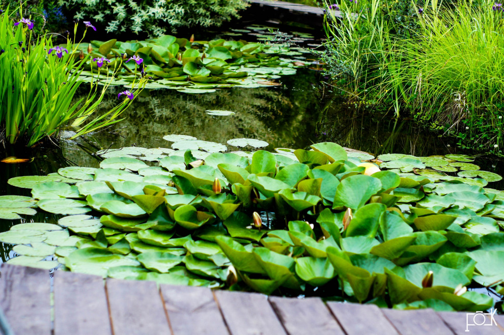 Гостевой сад Ландизайн