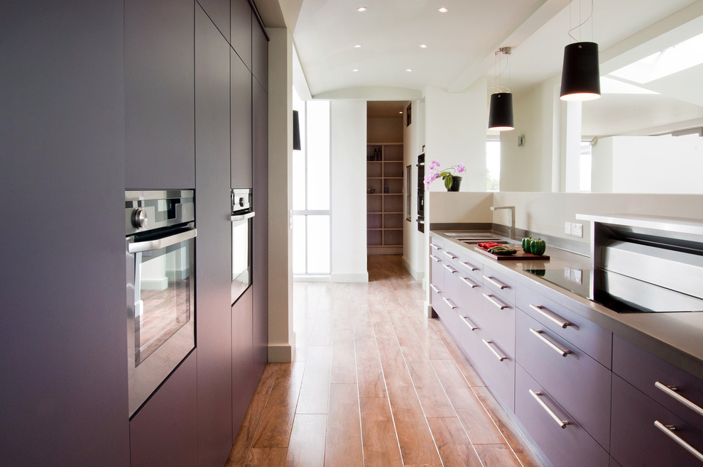 This is an example of a modern galley kitchen in Other.