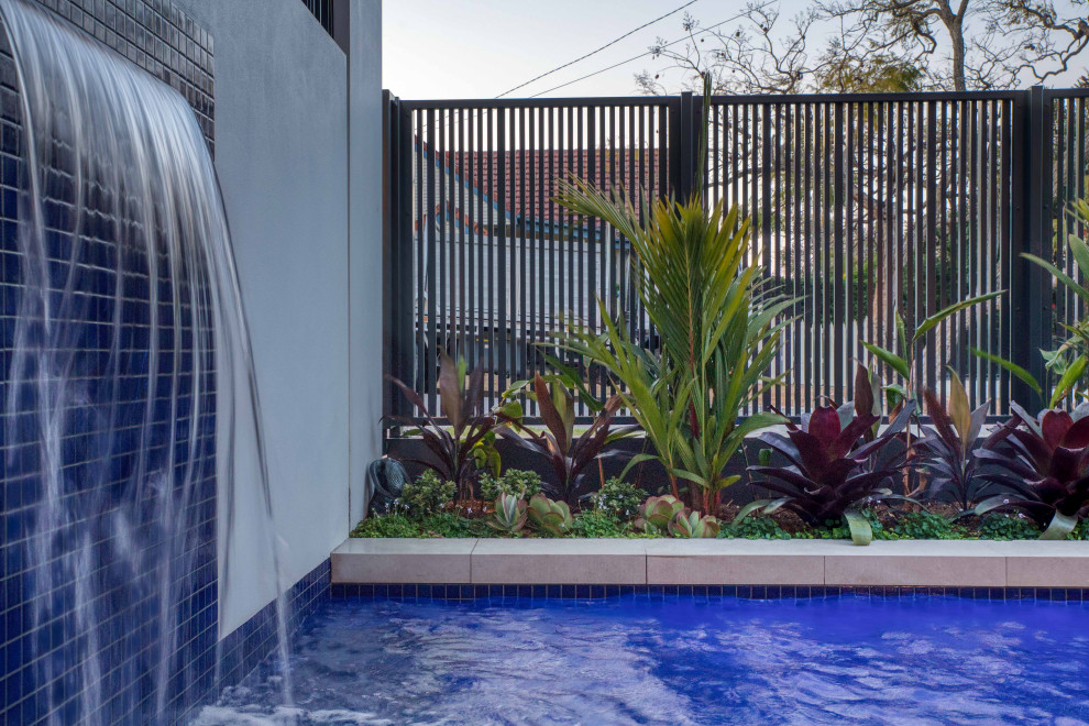 Contemporary full sun garden in Brisbane with concrete pavers.