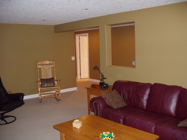 Basement Development transitional-basement