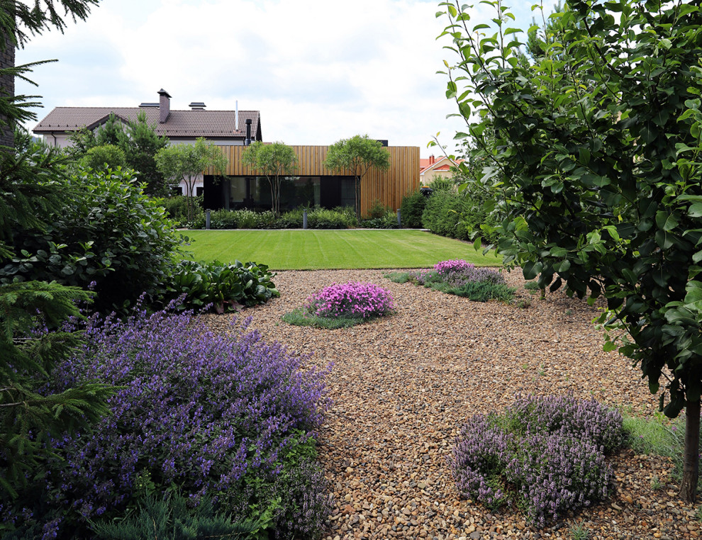 сад в городе