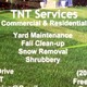 TNT Services