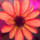 jessica_hough32