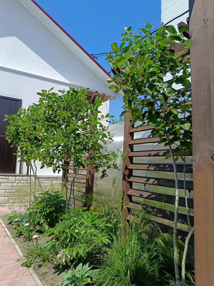 Сад на 2,5 сотках