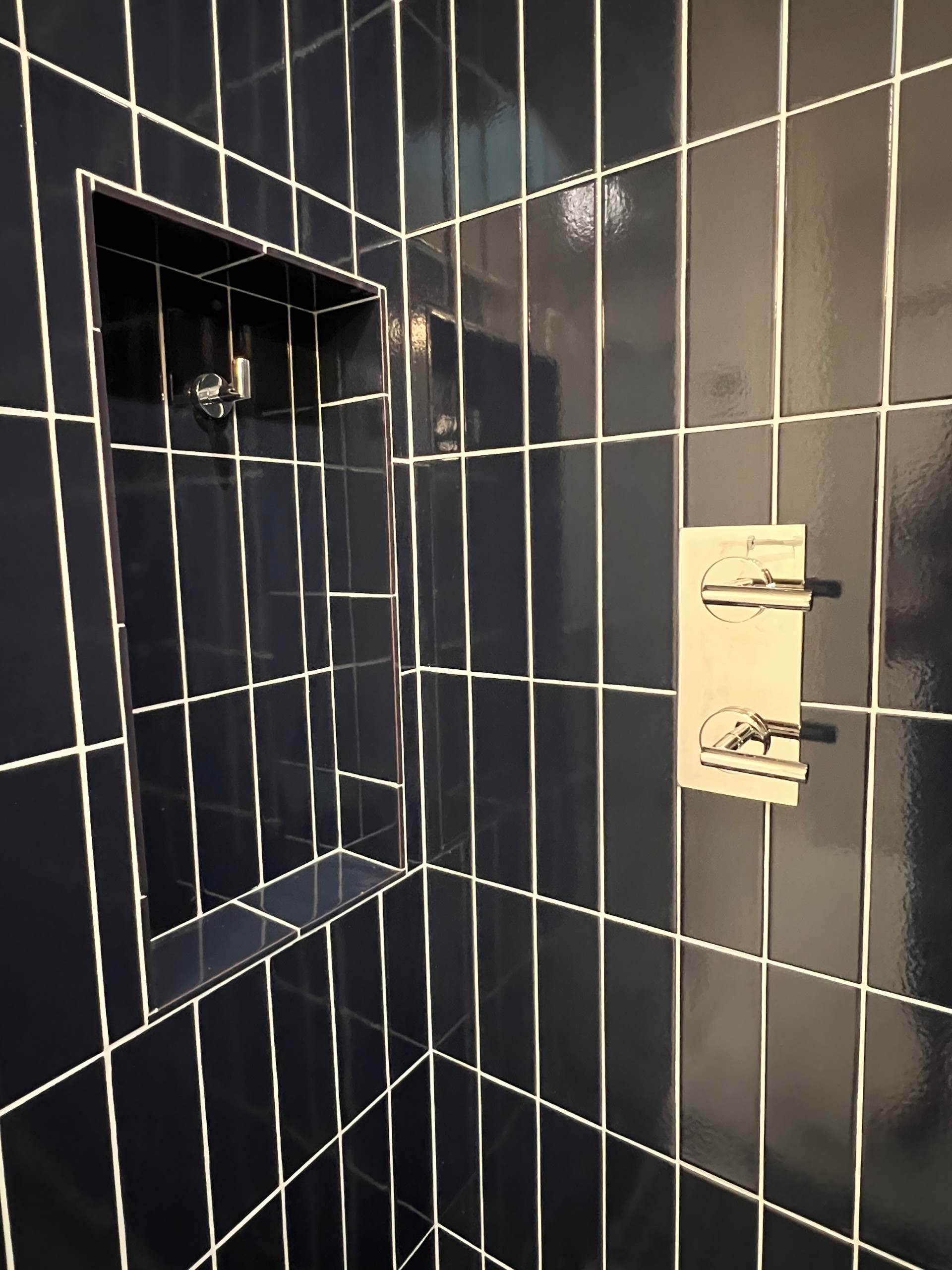 Utilitarian Shampoo Niche w/Robe Hook