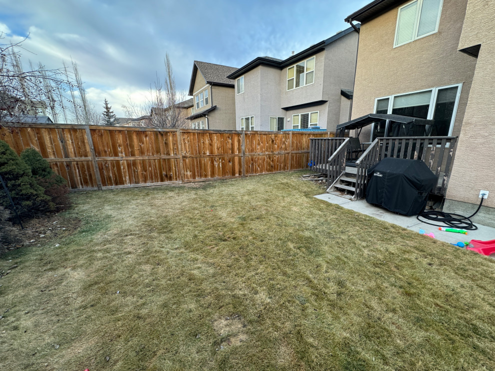 Deck and Fence