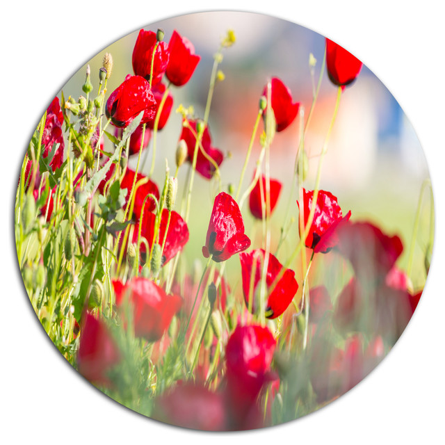 Beautiful Red Poppy Flowers View, Flower Large Disc Metal Wall Art