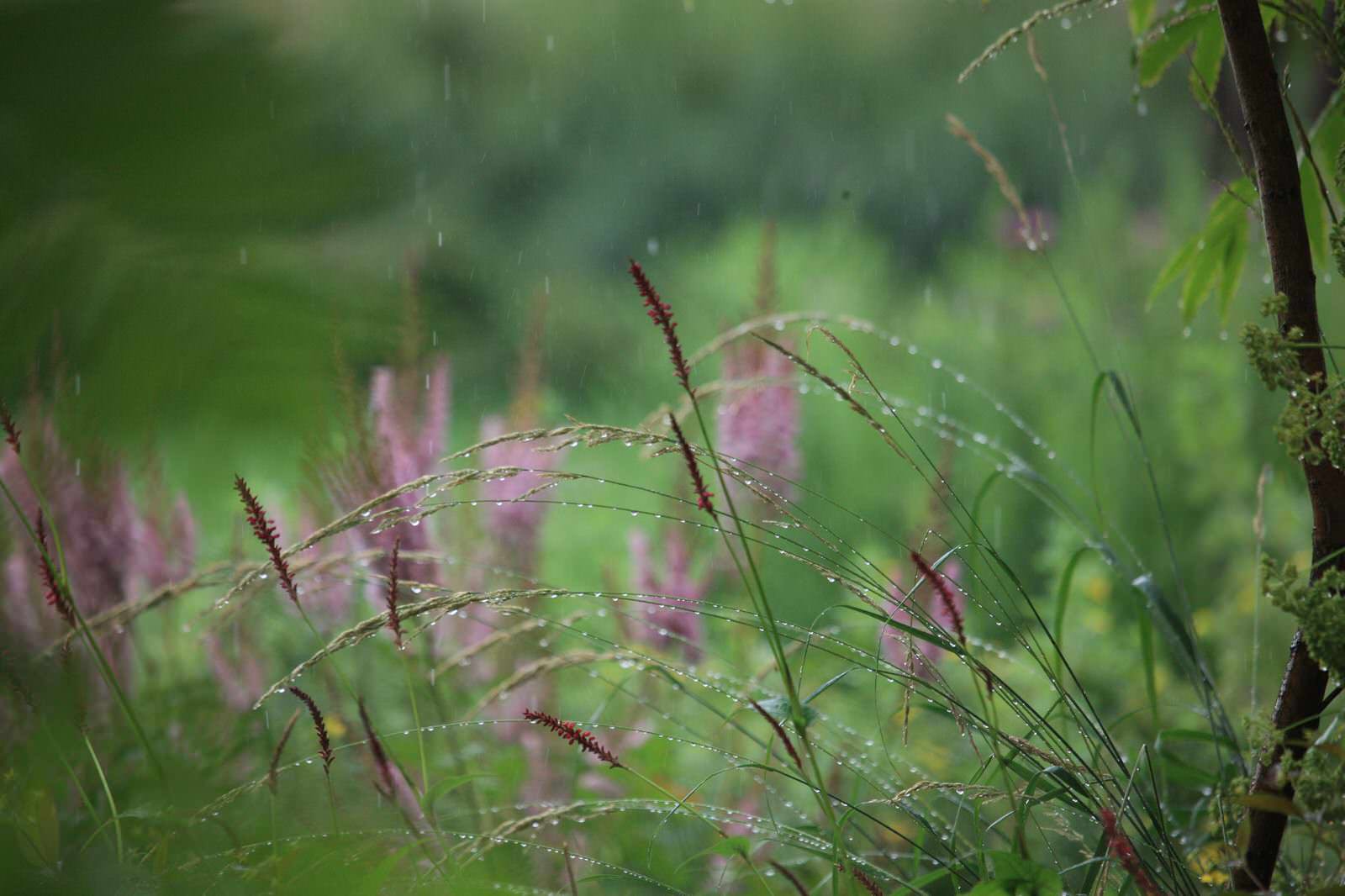 Бельгийская Деревня