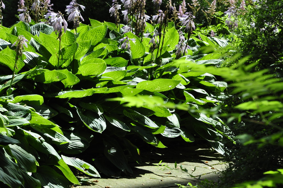 кп. "Архангельское" - Уход за садом - 100% качество!