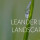 Leander Lawn and Landscaping Pros