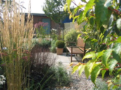 How to Lay Out a Long, Narrow Garden