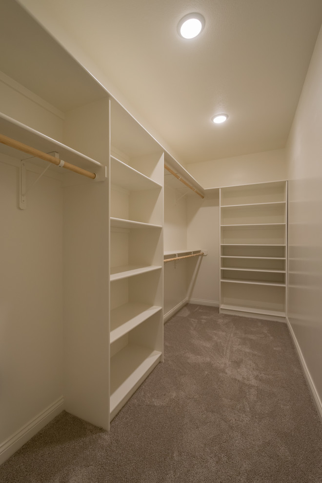 Home design - large rustic gender-neutral carpeted and gray floor home design idea with open cabinets and white cabinets