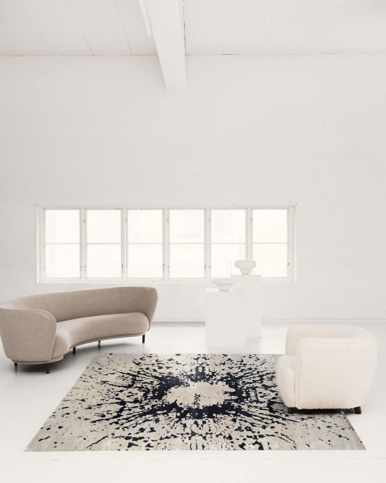 Cette image montre un salon minimaliste.