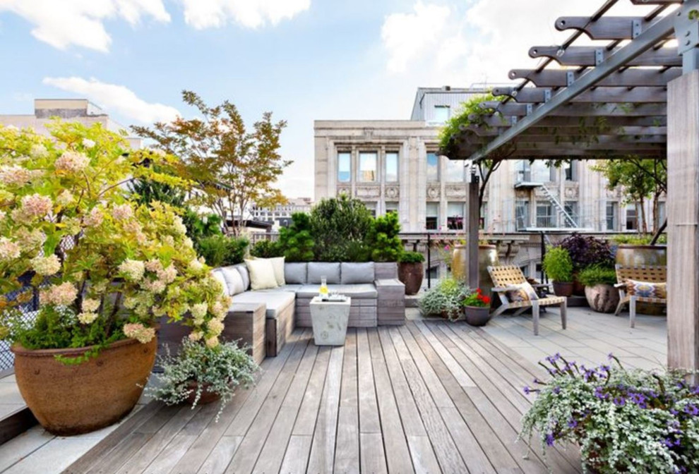 Expansive contemporary rooftop and rooftop deck in Paris with a container garden and a pergola.