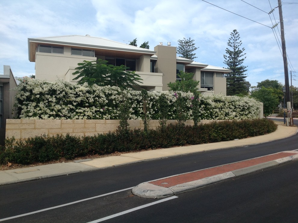 Contemporary front yard garden in Perth with a garden path.