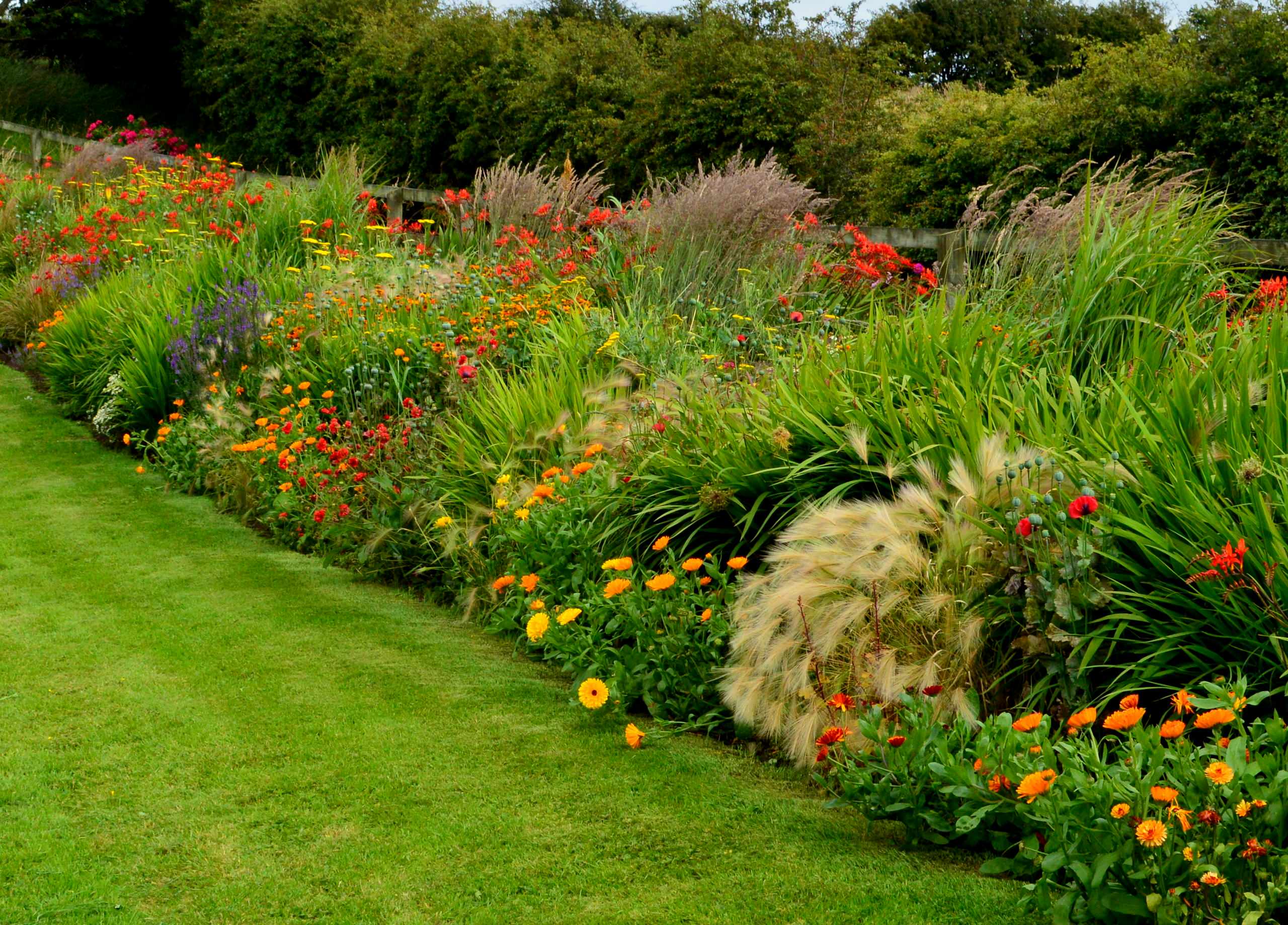 Native Landscapes