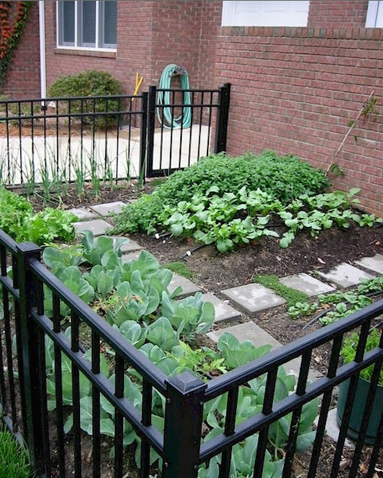 Inspiration for a transitional landscaping in Raleigh.