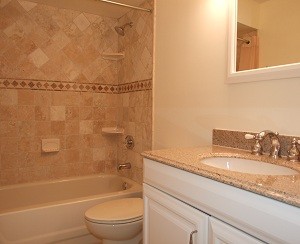 BATHROOM REMOLDING