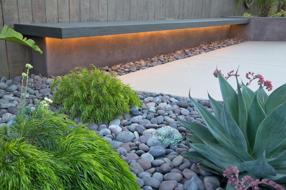 Design ideas for a small tropical backyard garden in San Luis Obispo.