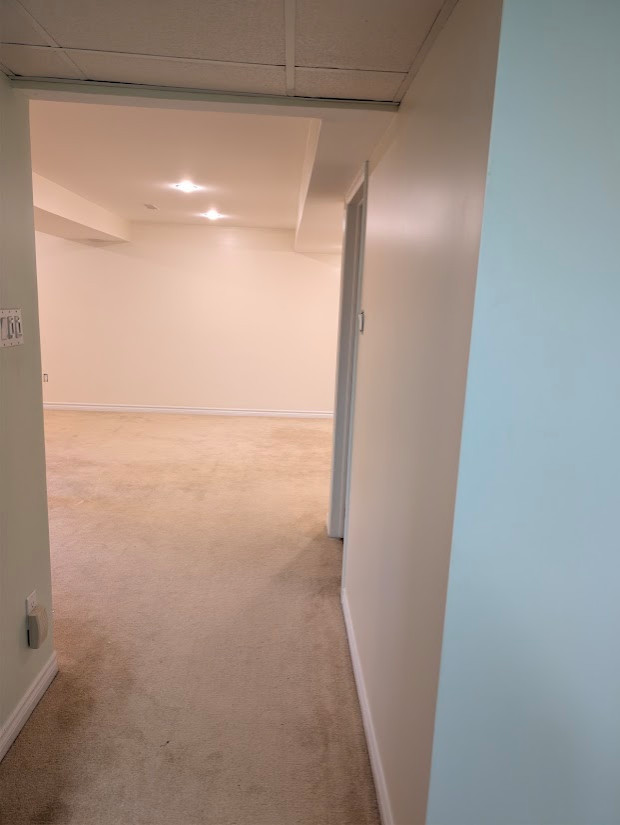 Basement Design+Build - Painting