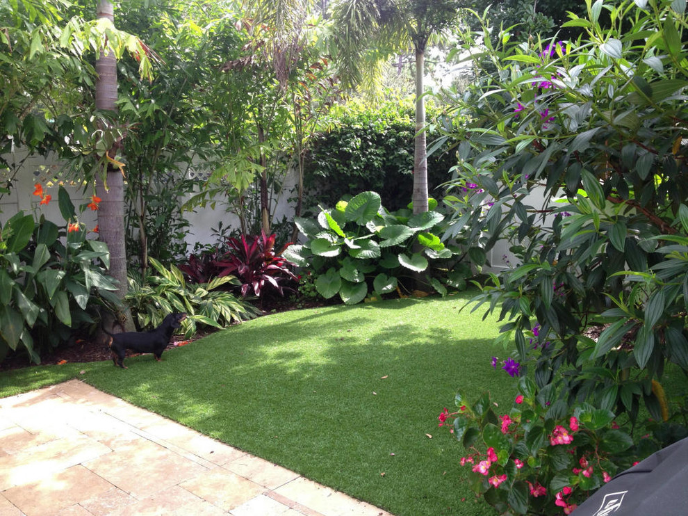 This is an example of a small beach style backyard partial sun xeriscape for winter in Miami with natural stone pavers.