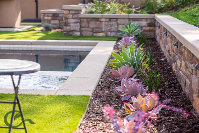 Succulent Garden contemporaneo-giardino