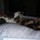 martha_hine