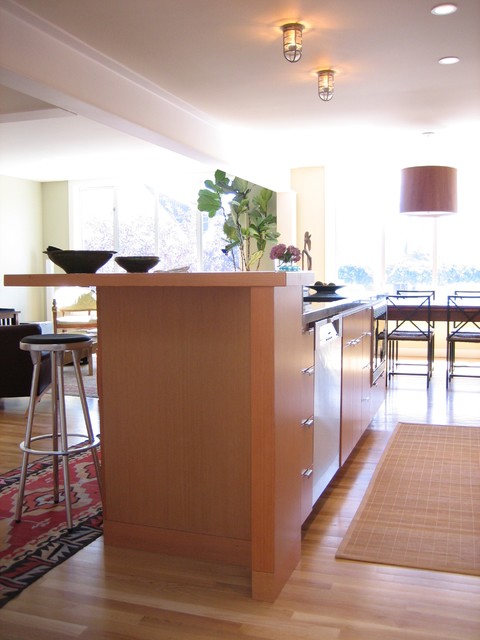 Spolyar contemporary-kitchen