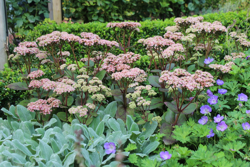 Inredning av en klassisk trädgård