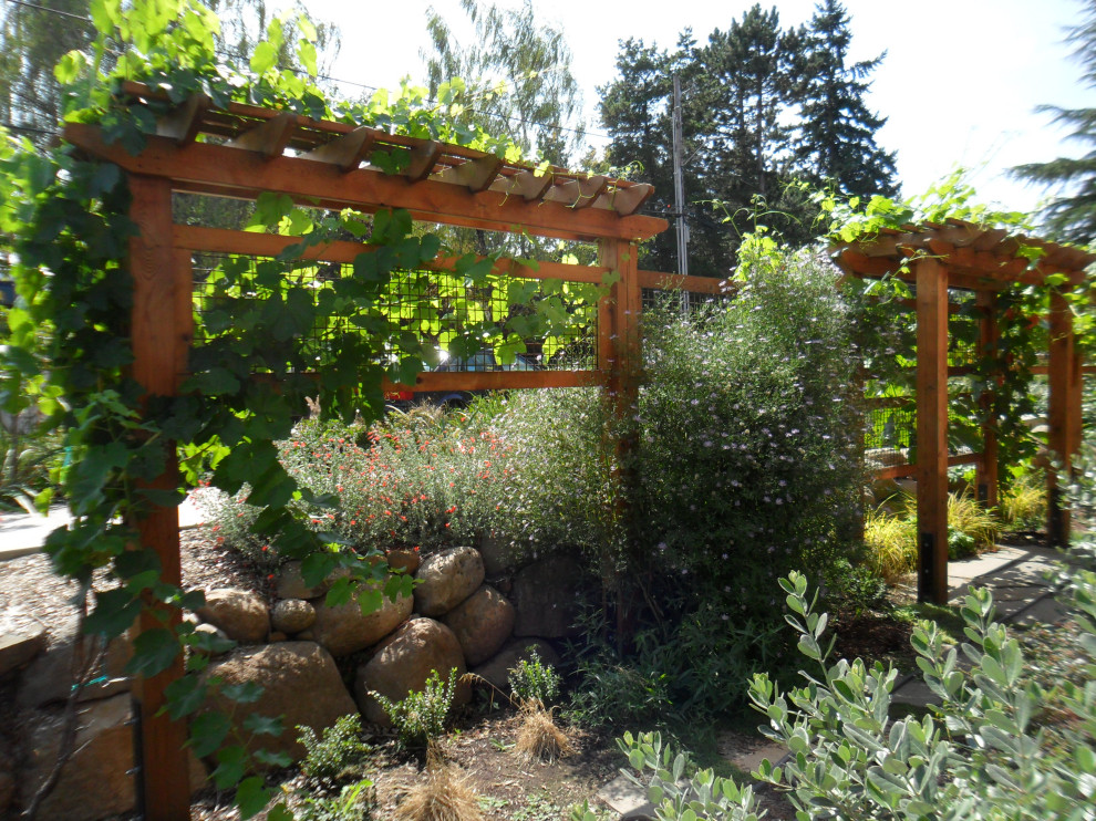 Kleiner Landhaus Garten im Sommer, neben dem Haus mit Sichtschutz, direkter Sonneneinstrahlung, Mulch und Holzzaun in Portland