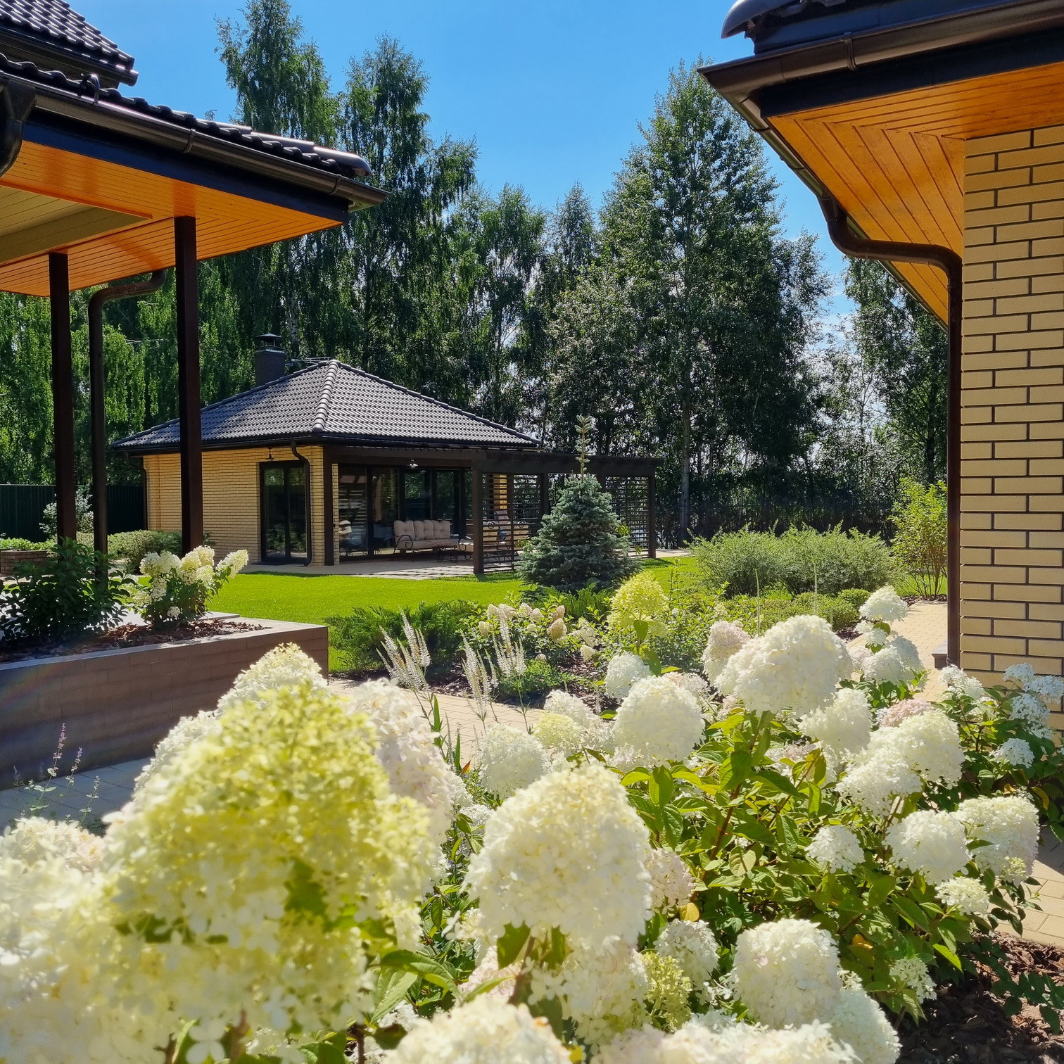 Кожино 2021/зима