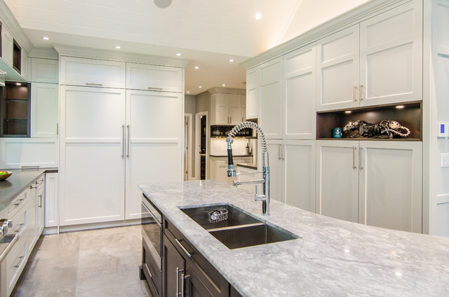 Entertaining Kitchen transitional-kitchen