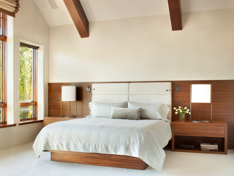 Mid-sized contemporary master bedroom in Denver with beige walls, carpet and no fireplace.