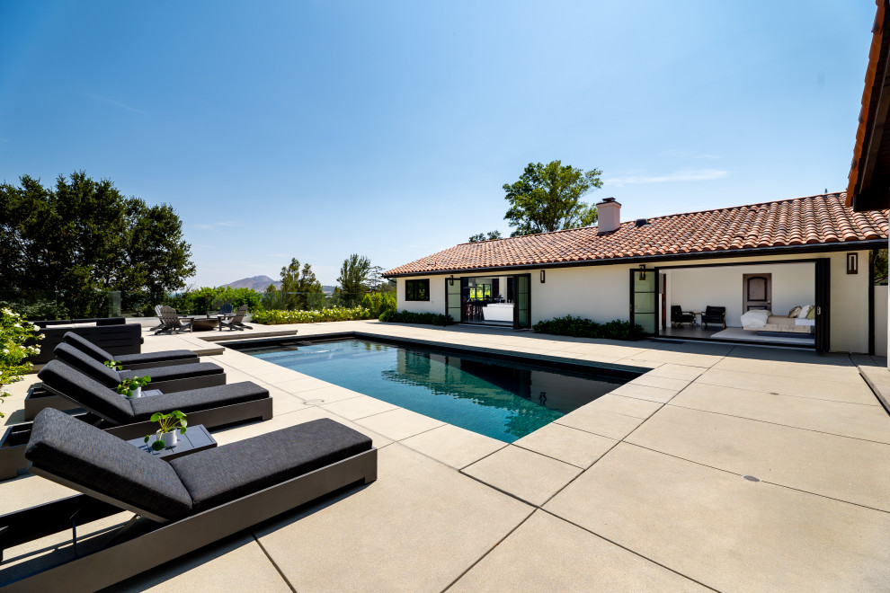 Cette image montre une très grande piscine minimaliste rectangle avec une dalle de béton.