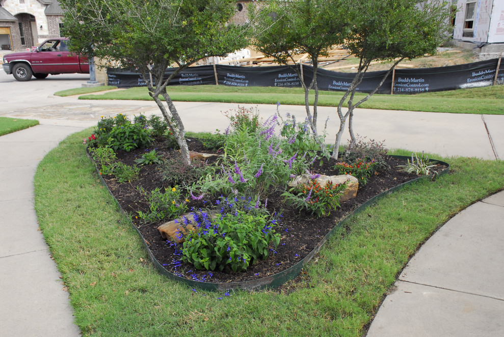 Inspiration for a mid-sized front yard full sun xeriscape for summer in Dallas with with flowerbed and concrete pavers.