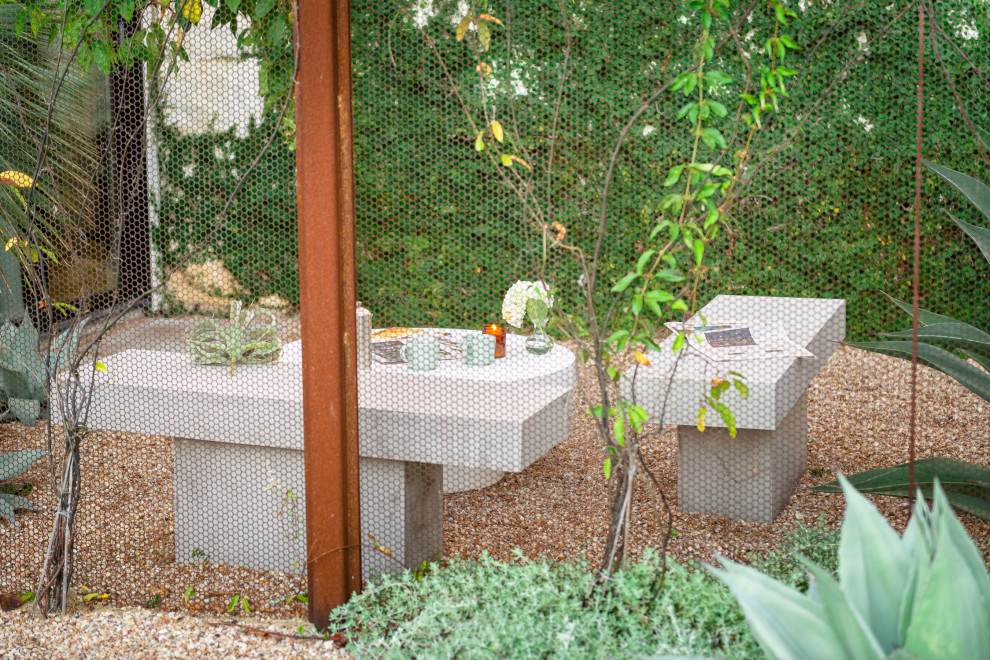 This is an example of a small contemporary courtyard full sun xeriscape in Austin with with privacy feature and gravel.