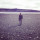 oren_dawad52