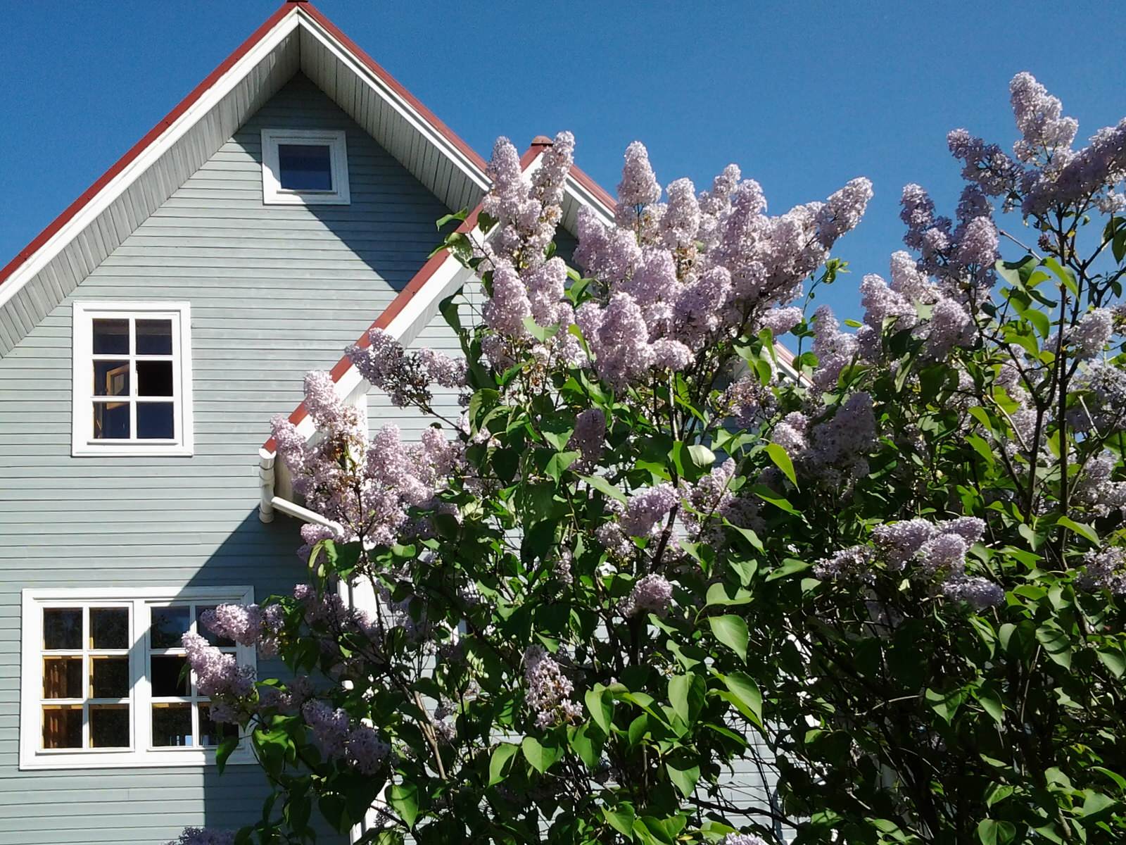 Фотографии моих работ