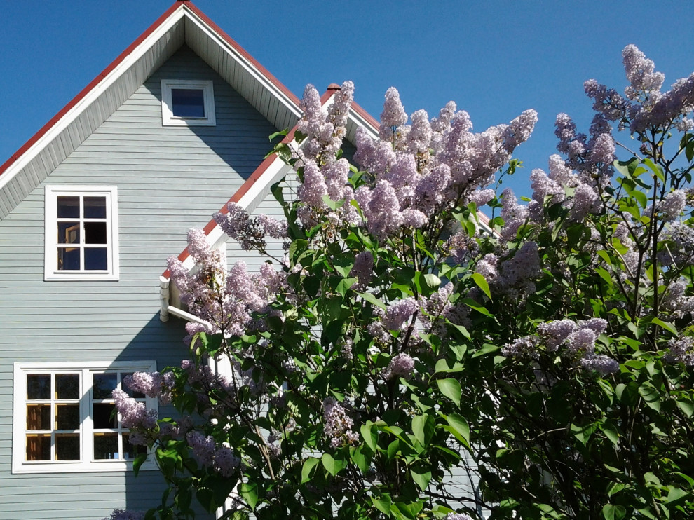 Фотографии моих работ