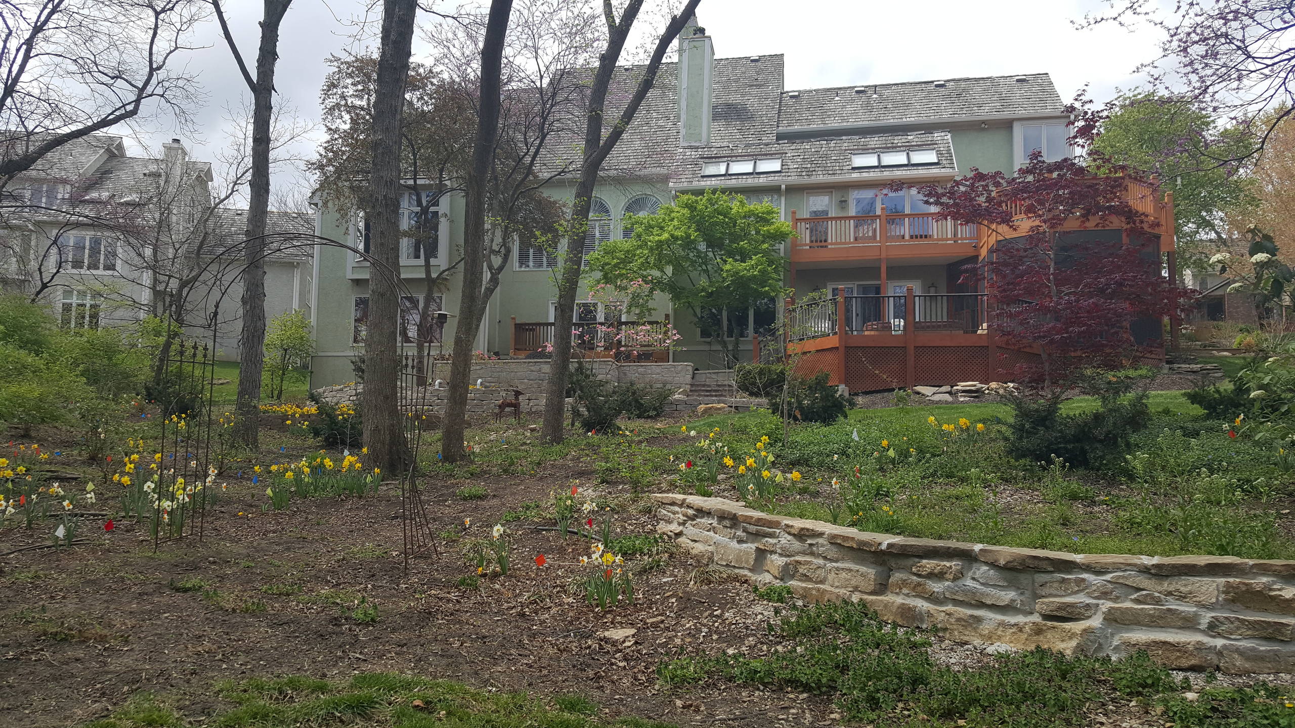 WOODLAND HILLSIDE