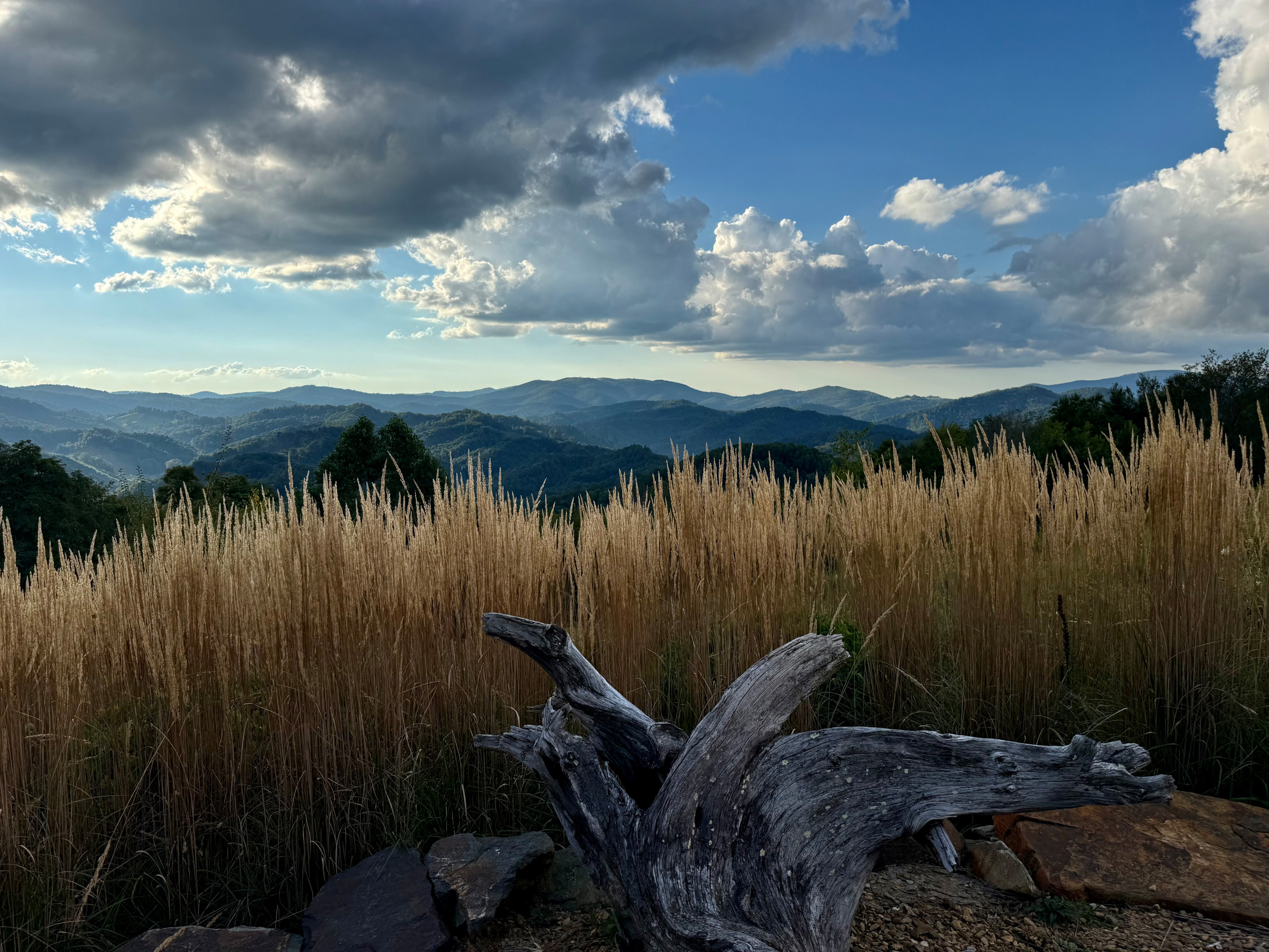 Mountain Top Magic