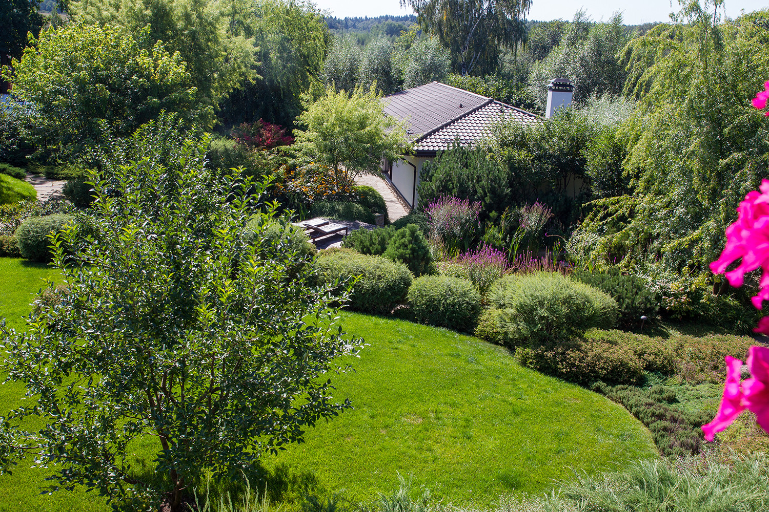 Garden of Elena Astashkina in Moscow Region