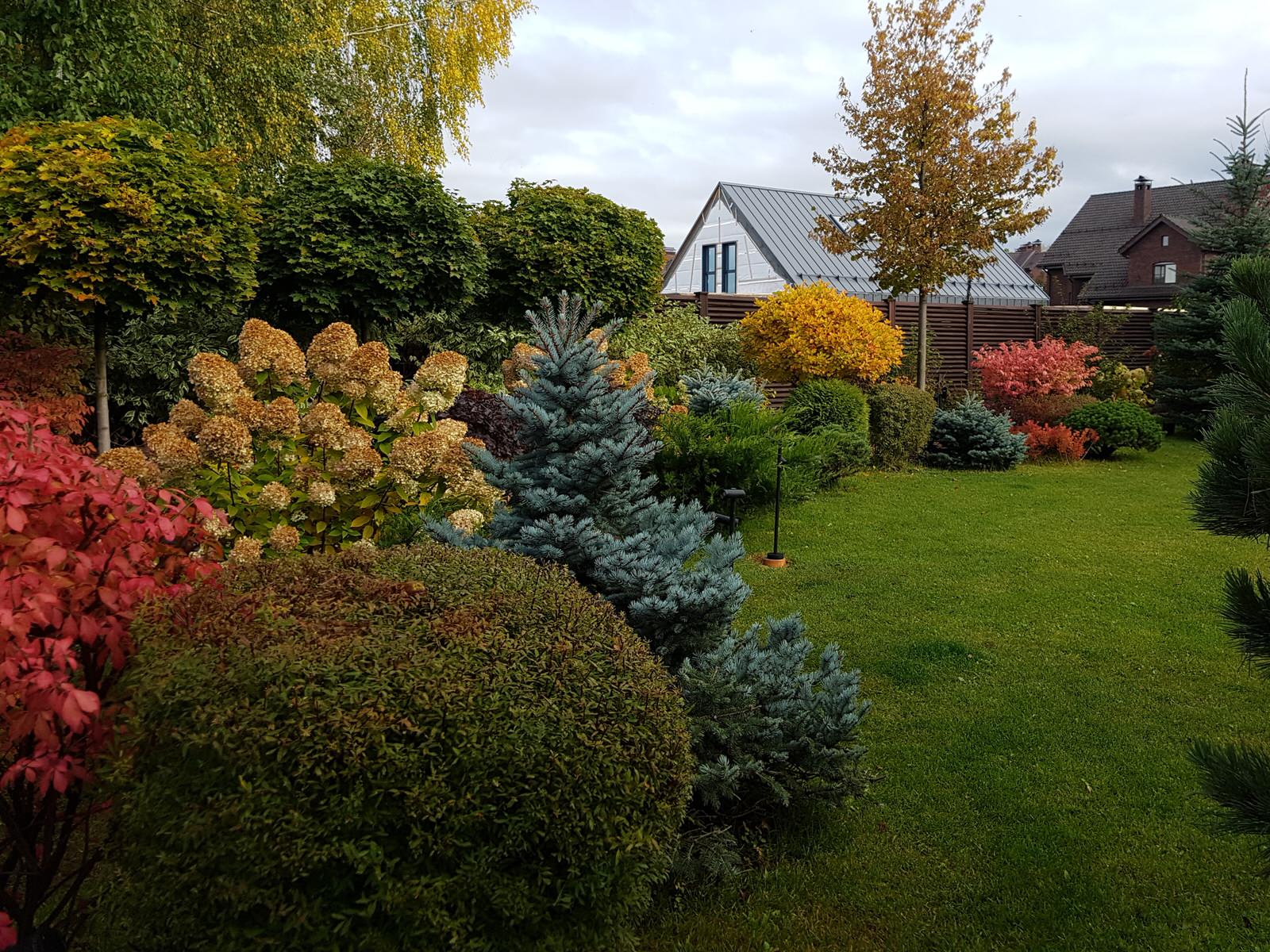 Летово Парк