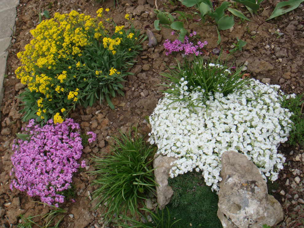 Альпийская горка