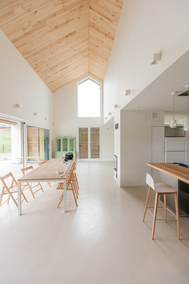 Expansive scandinavian kitchen/dining combo in Other with white walls, concrete floors, no fireplace and beige floor.